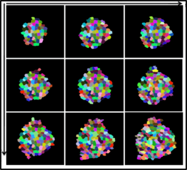 A 3x3 grid of images displaying cellular structures segmented into multi-colored patches on a black background. Black arrows run along the top border from left to right and down the left border from top to bottom, indicating an analytical progression or variation in the image sequence.